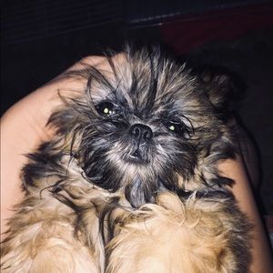 Meet your Posher, Kathleen mae